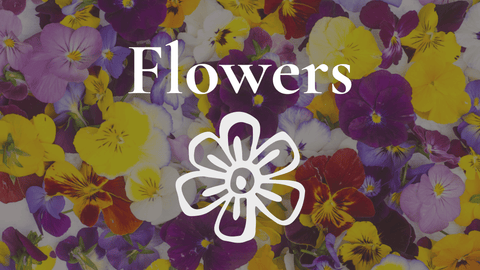 Edible Flowers
