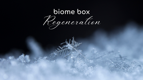 What is Regeneration?