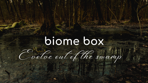 Evolve Out of the Swamp
