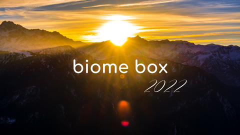 Our Vision for 2022