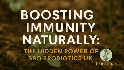 Boosting Immunity Naturally: The Hidden Power of SBO Probiotics UK