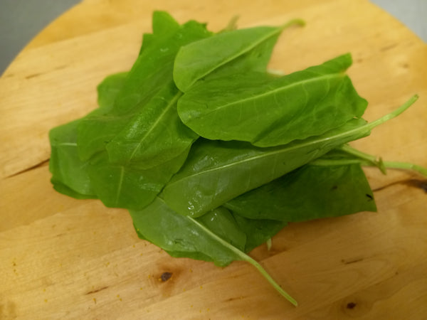French Sorrel