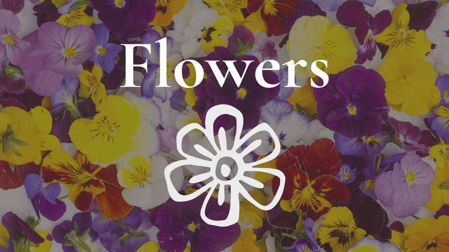 Colourful pansies and violas with the words Edible Flowers