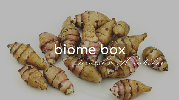 Jerusalem Artichokes