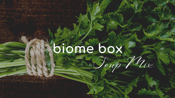 Biome Box - Seasonal Bundle