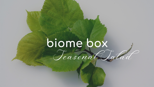 Biome Box Seasonal Salad - May
