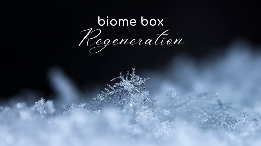 Frost crystals on snow – Biome Box Regeneration