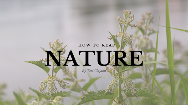 How To Read Nature - Weeds