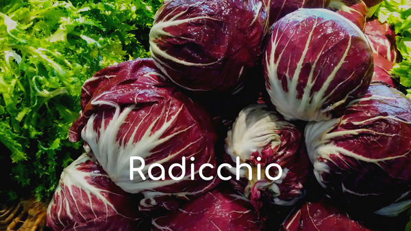 Radicchio