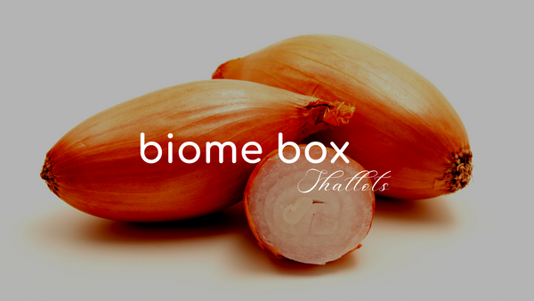 Shallots