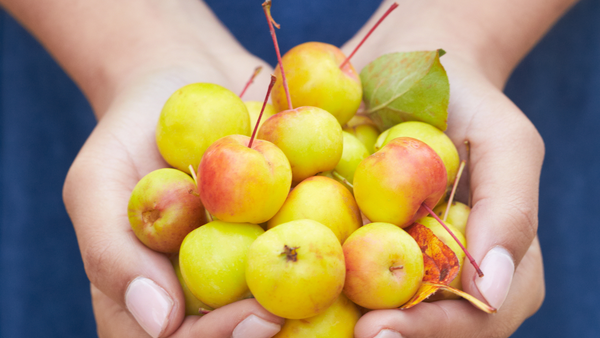 Crab Apples