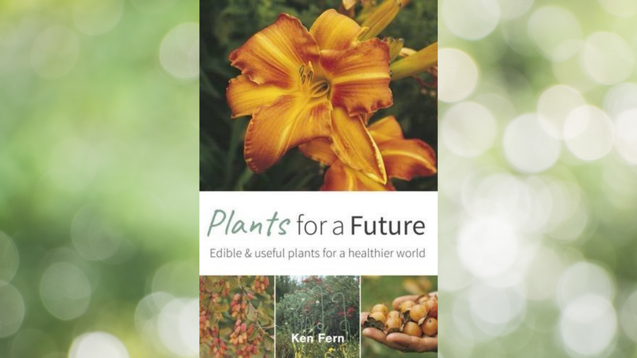 Cover of the book Plants for a Future by Ken Fern
