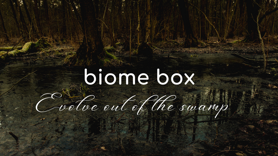 Dark woodland swamp at dusk – Biome Box Evolve out of the swamp
