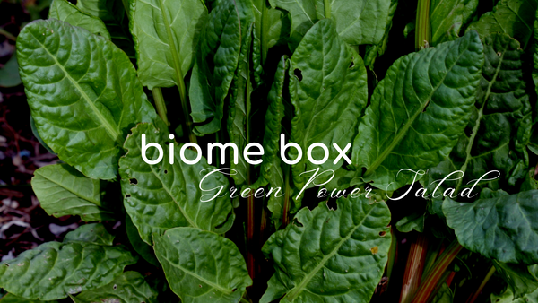 Green Power Salad
