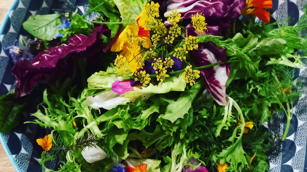 Mixed Leaf, floral salad