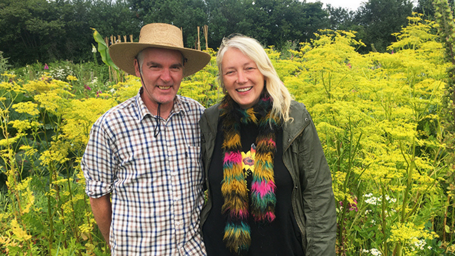 Two growers standing among yellow-flowering plants at Incredible Vegetables