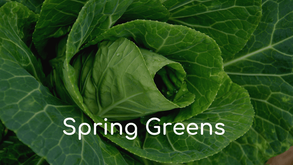 Spring Greens