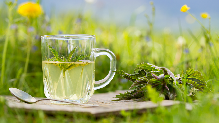 Glass mug of nettle tea held up in a sunny meadow