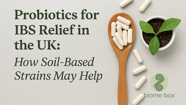 Probiotics for IBS Relief in the UK: How Soil-Based Strains May Help